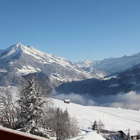 Chalet Chalet Alina Leysin